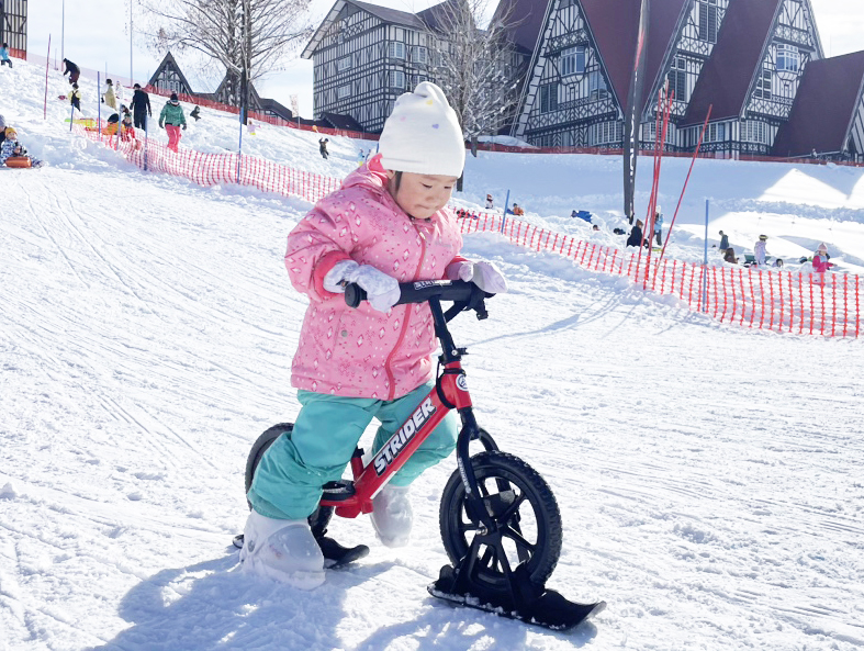 【スノーストライダー】（イメージ）