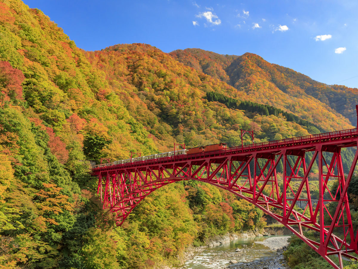 【4/15〜11/30】竹のやに泊まって★立山アルペンルートへ行こう！バス停まで徒歩2分【素泊まり】