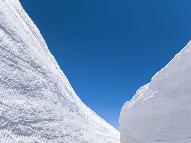 ●雪の大谷