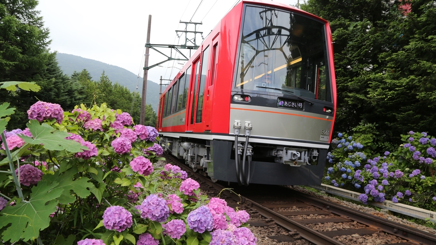 箱根登山鉄道～紫陽花電車～客室からもご覧いただけます♪
