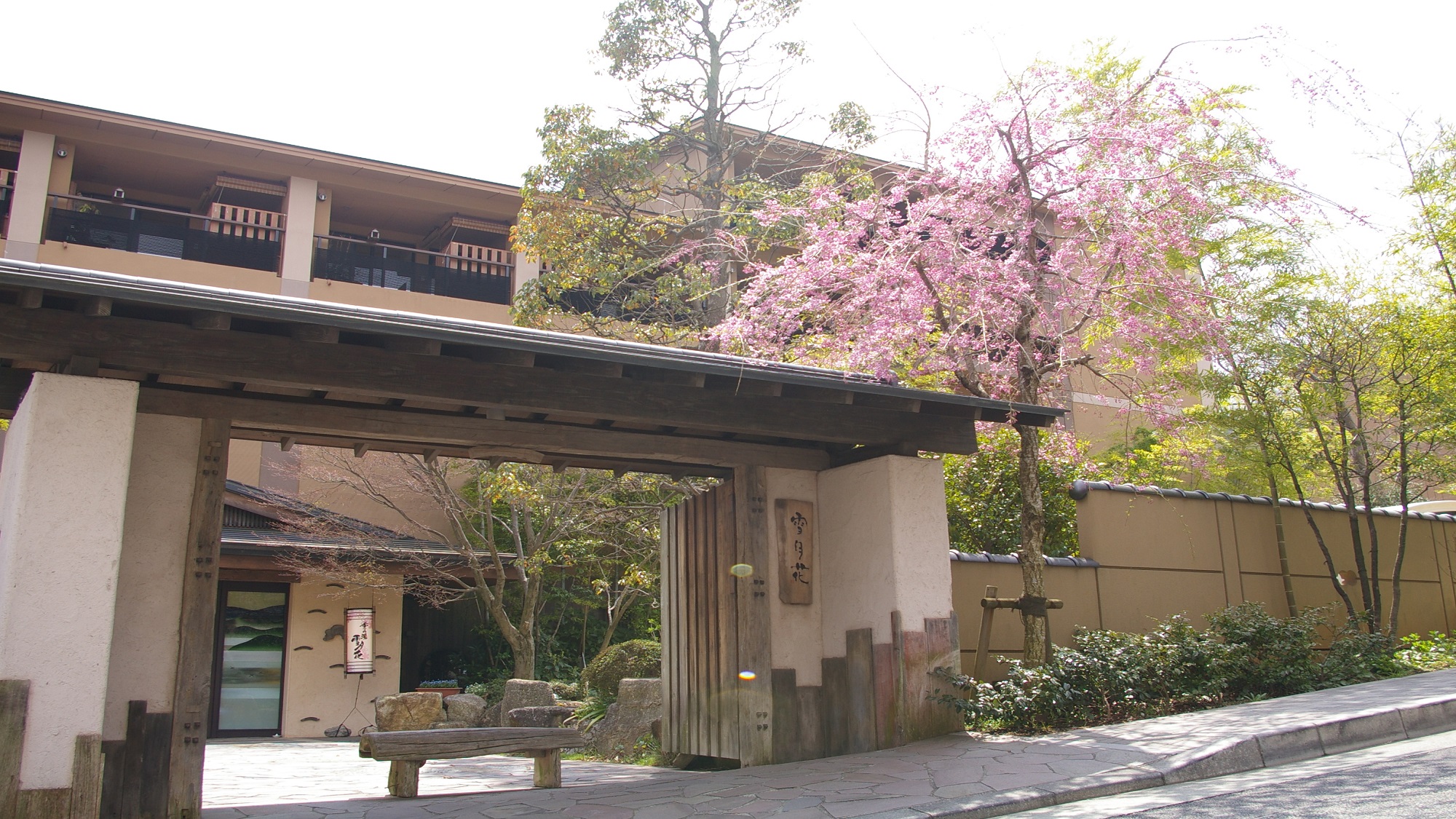 【外観】玄関前には春を彩る桜♪強羅近辺の桜の見頃は例年4月上旬～中旬頃。