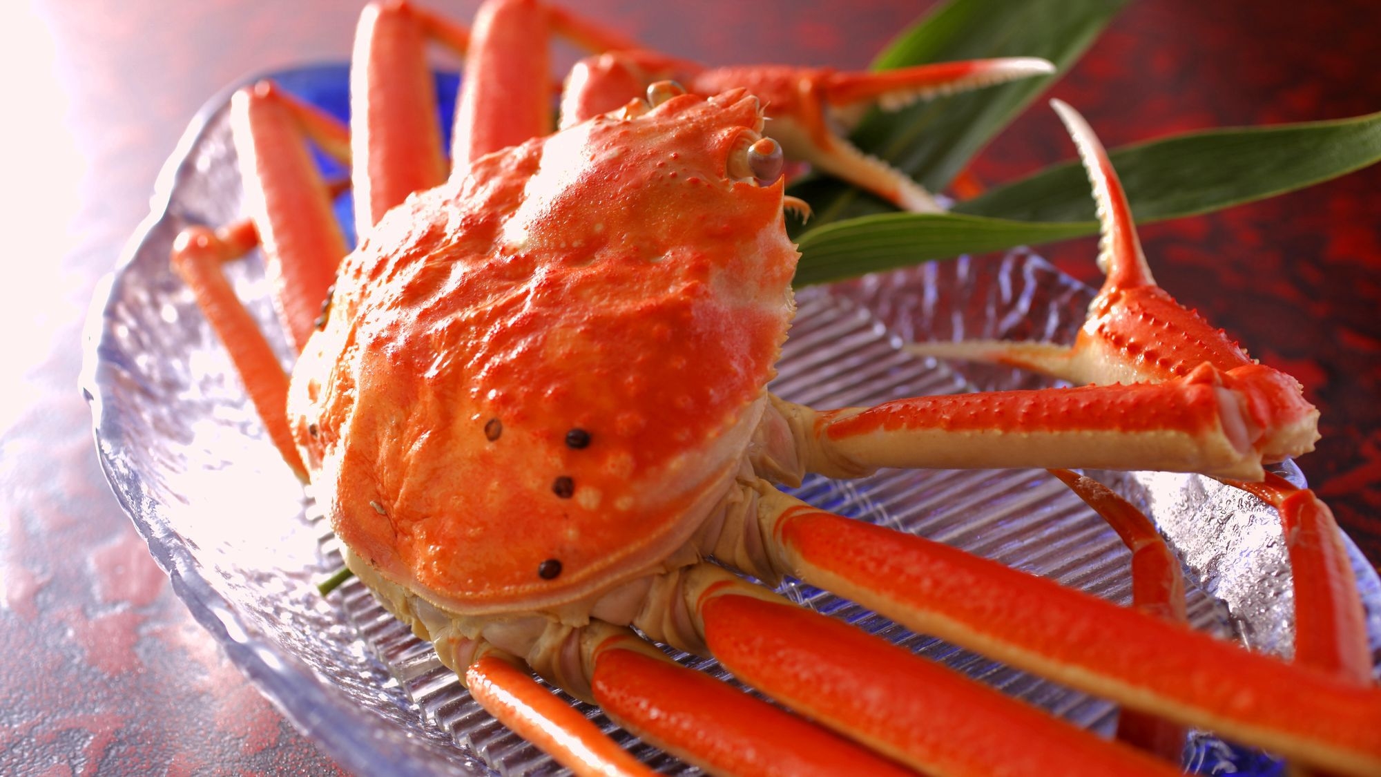 【8種の味わい蟹づくし】本ずわい蟹1人2杯相当★厳選・丸ごと姿ボイル蟹、炭火焼き蟹、蟹すき鍋、蟹釜飯