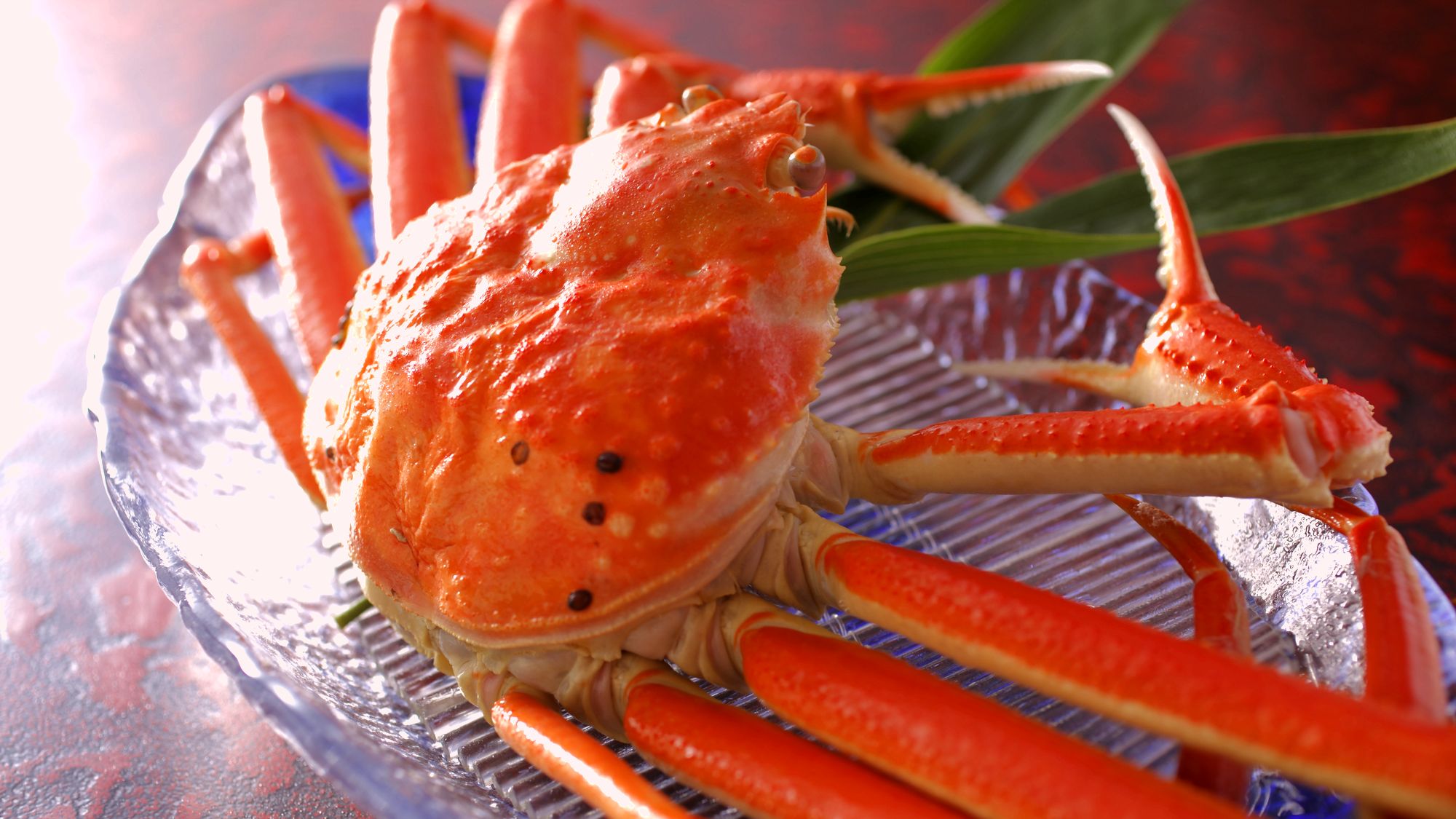 ★冬のお楽しみは、やっぱり「ずわい蟹」※イメージ