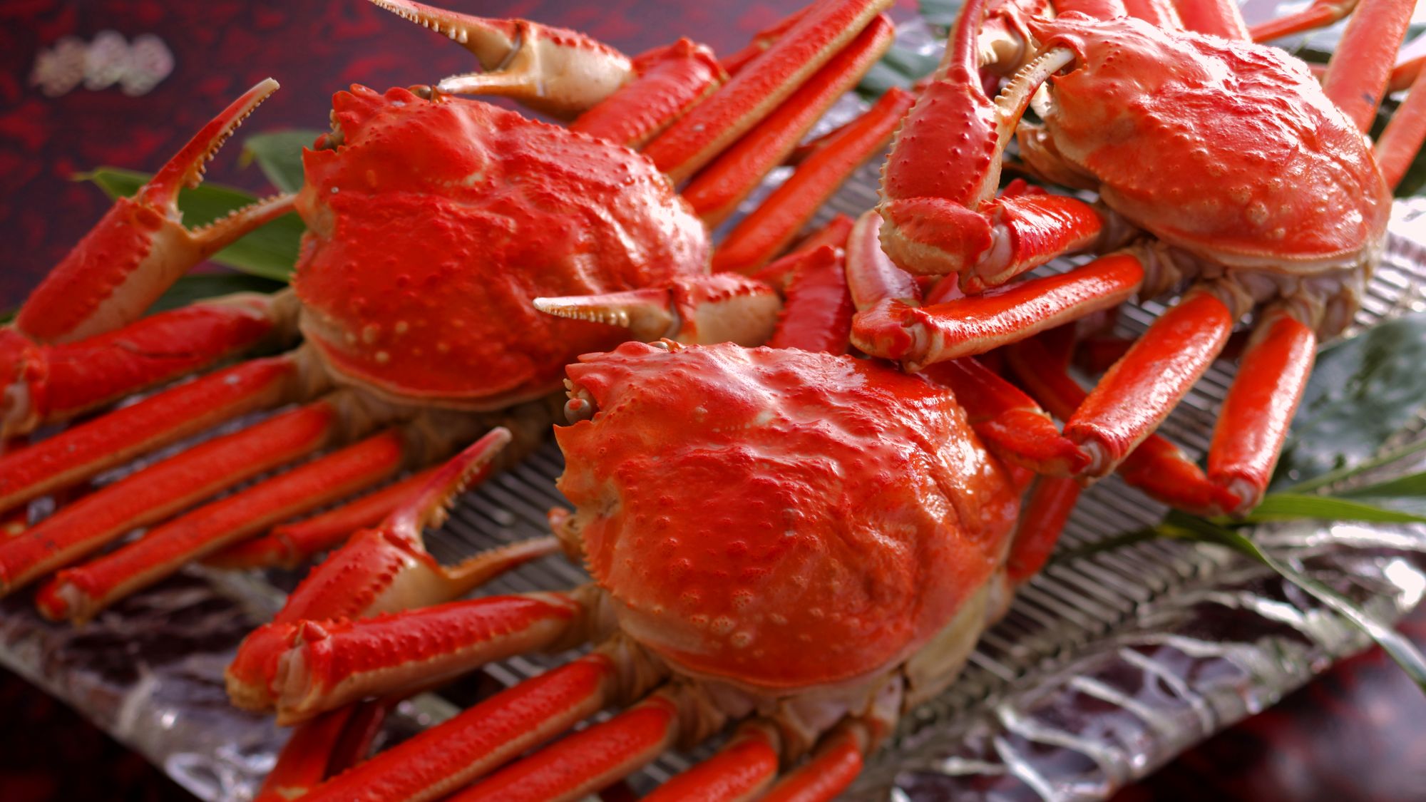 ★冬のお楽しみは、やっぱり「ずわい蟹」※イメージ