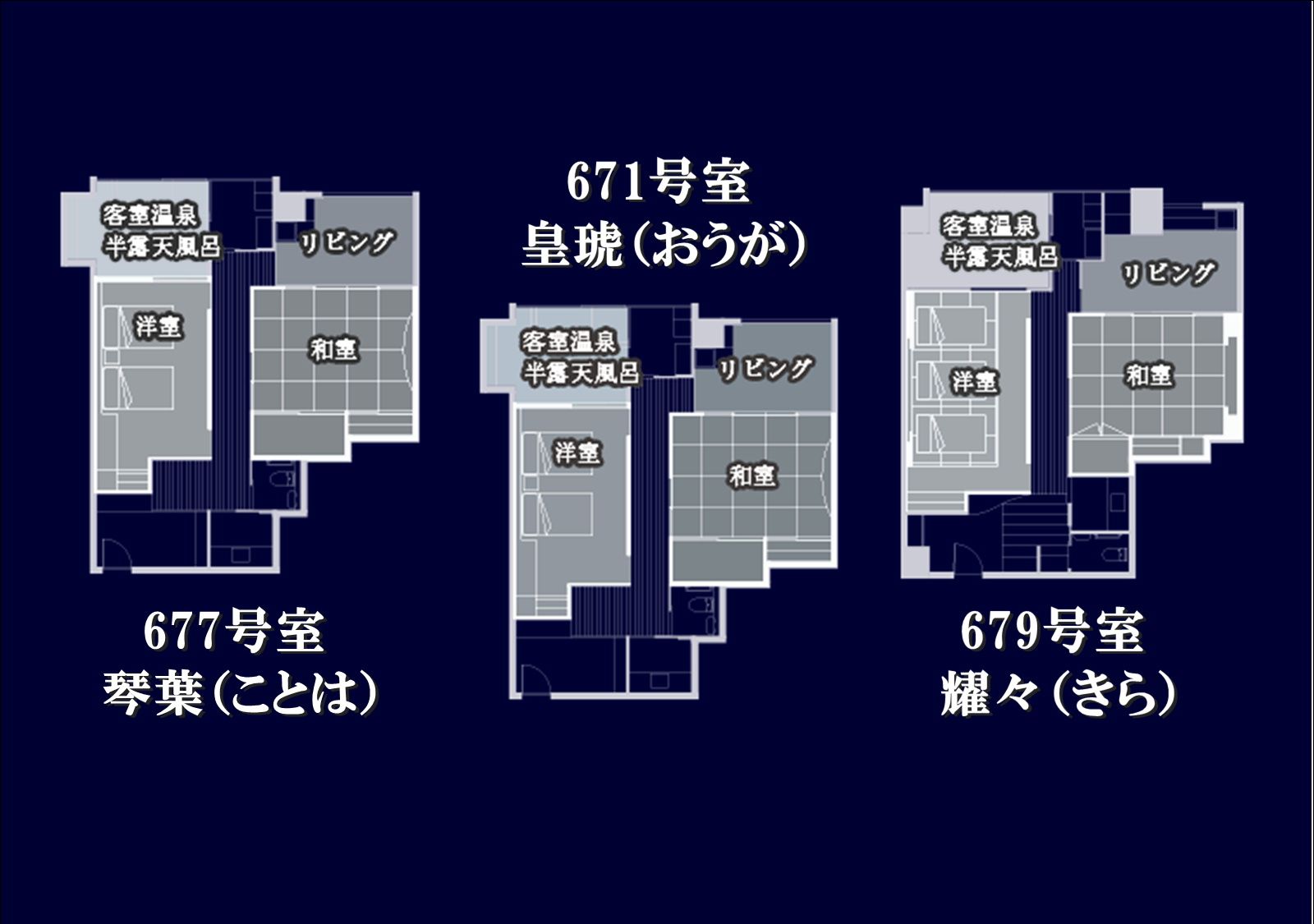 【源泉かけ流し　半露天風呂付　デラックス和洋室　禁煙】