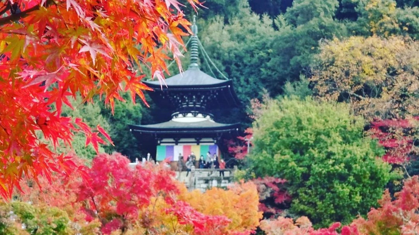 【京の紅葉】清水寺・高台寺まで徒歩圏内！秋の京都をたっぷり満喫。