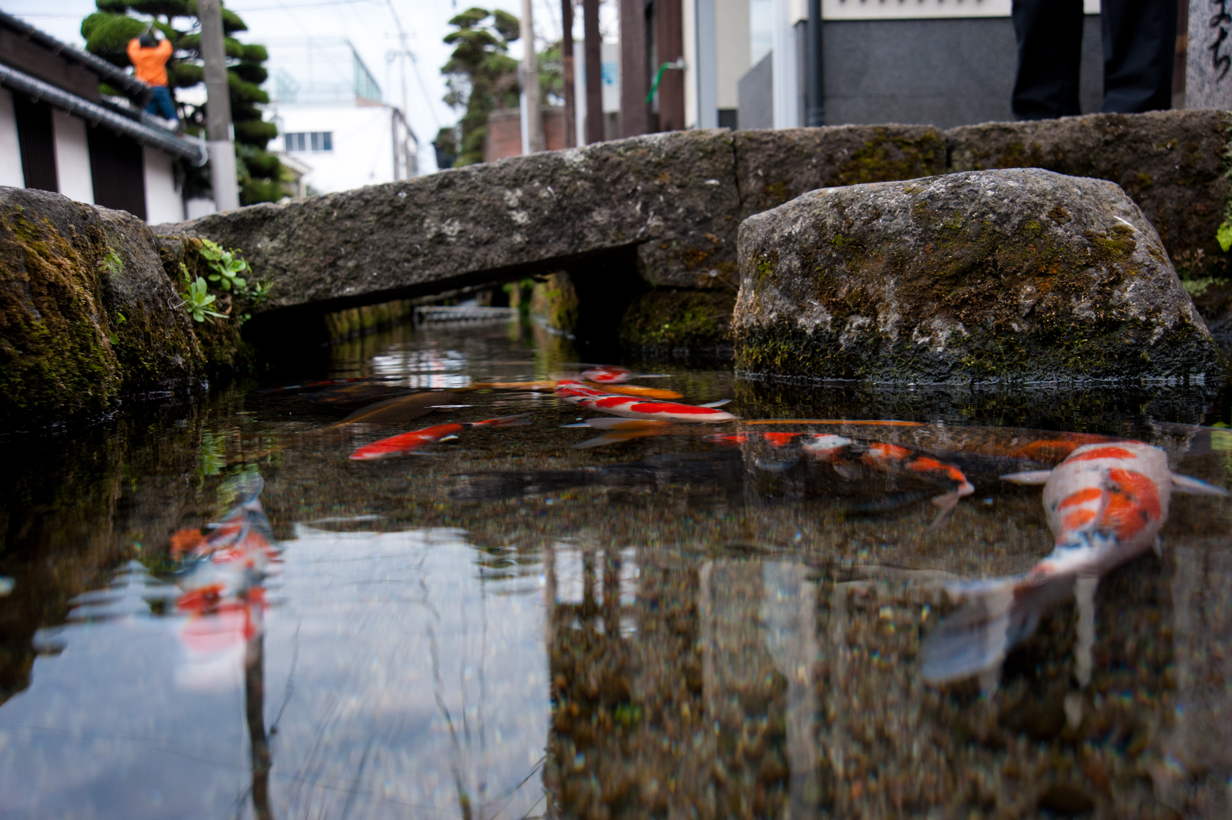 清流亭まで徒歩15分