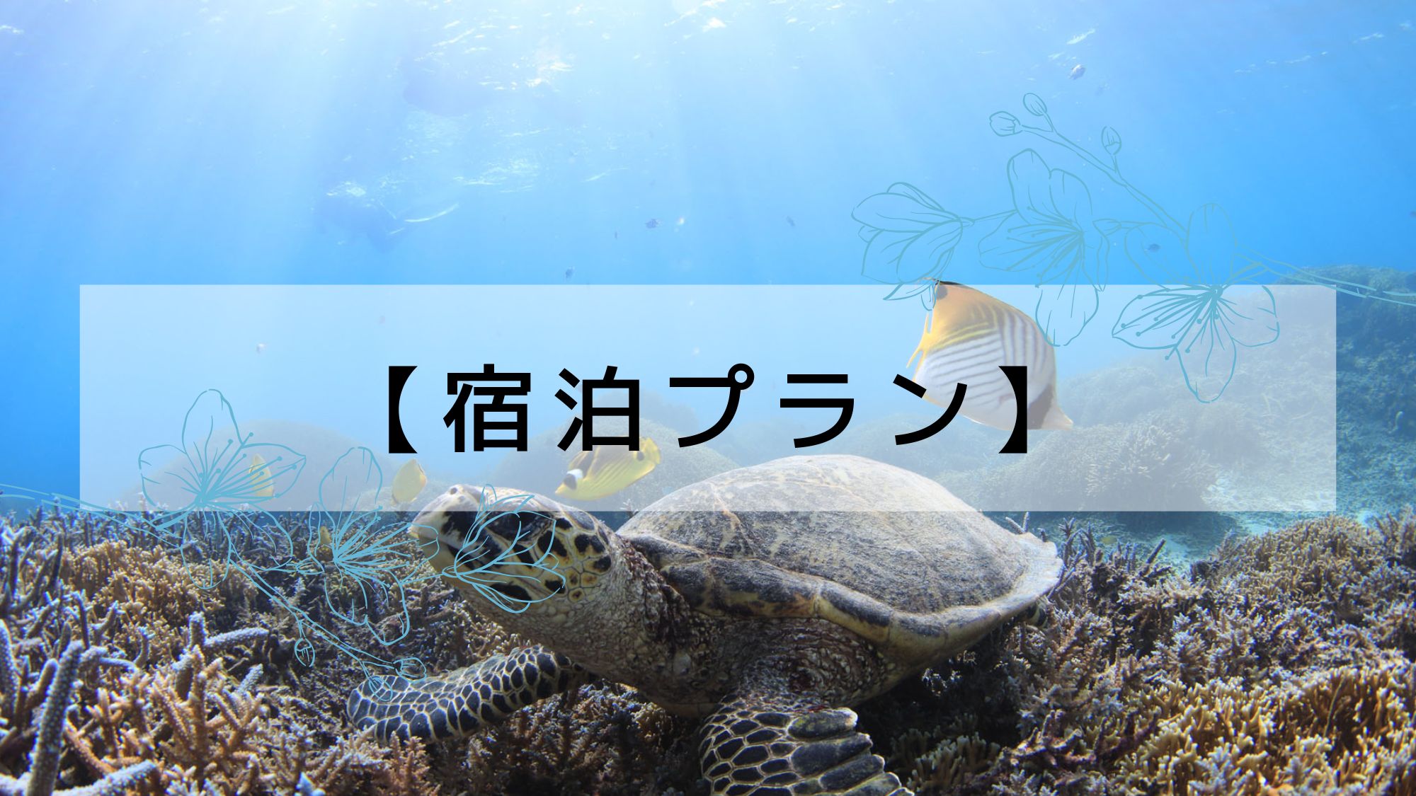 【宿泊プラン】マリンアクティビティ満喫！シーフレンドが提供する宿泊プランです♪