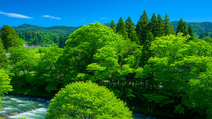 お部屋からの景色｜川のせせらぎに癒される、最高の朝です
