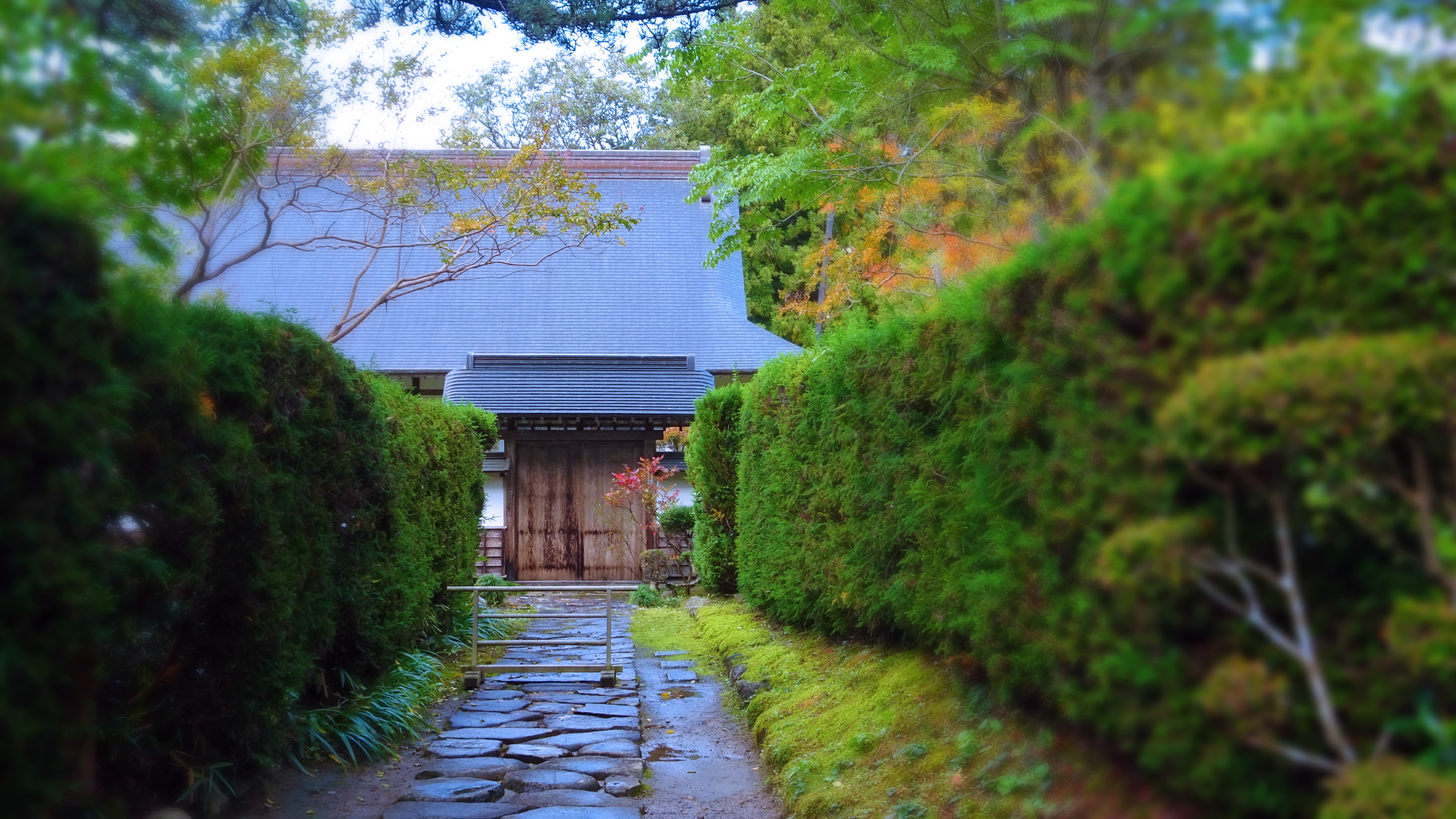中尊寺 月見坂