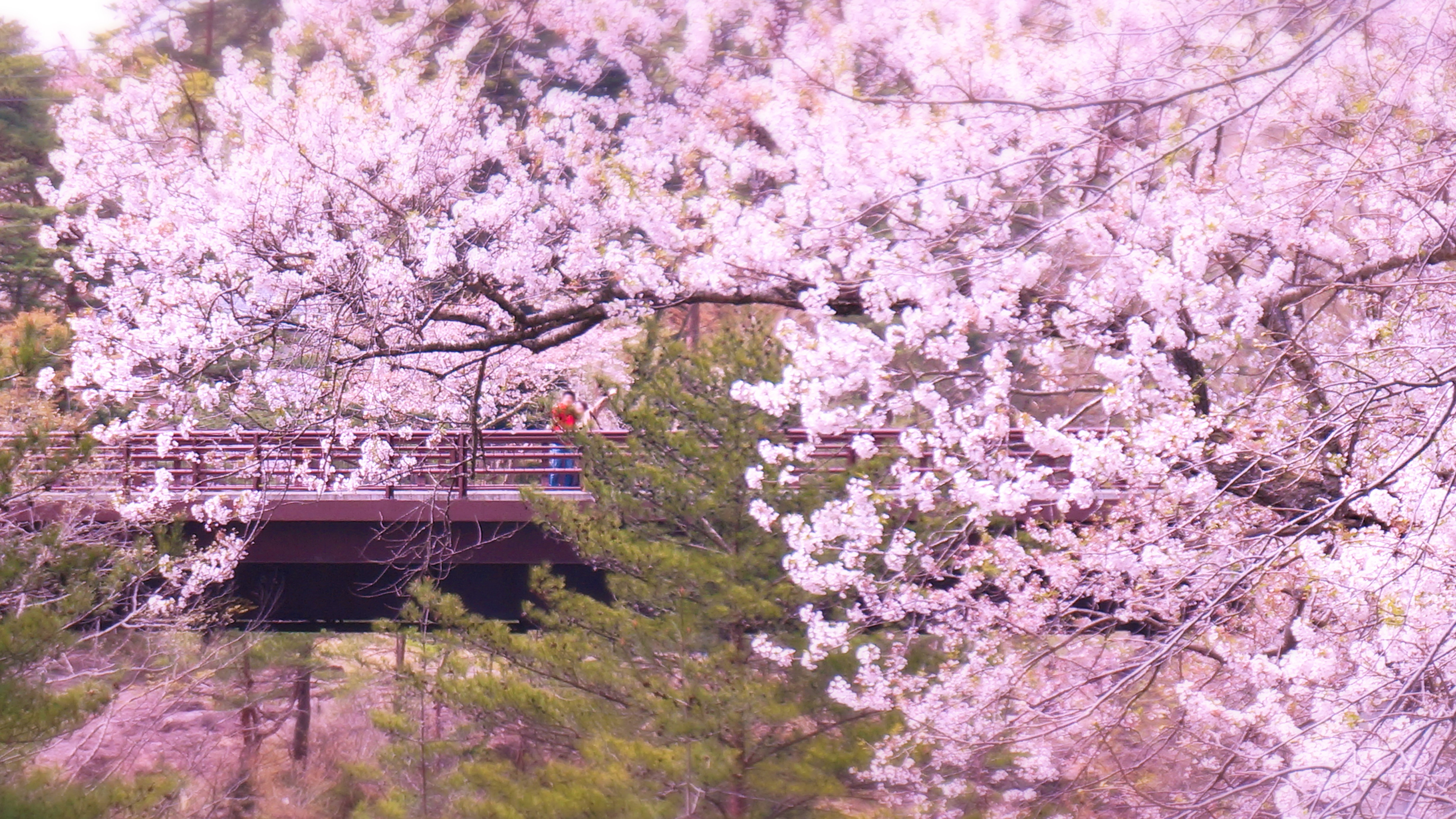 厳美渓天工橋