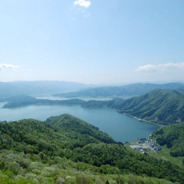 漁場の宿 はっとり - 写真 51