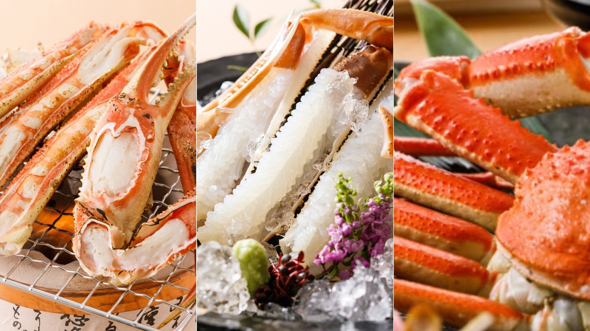 【選べる活蟹】焼き・刺し・茹でからチョイス！おまかせ会席×タグ付き活ズワイ蟹（2名で1杯）