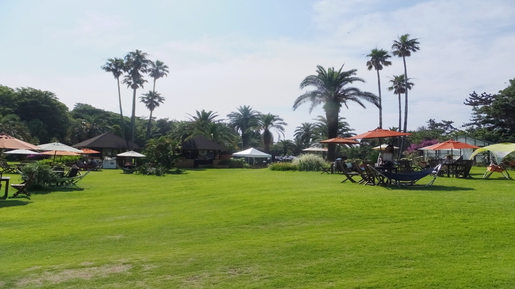 【ファミリーで初島へGO！】熱海港〜初島往復＆R-asiaチケット販売中♪南国リゾートを満喫しよう！