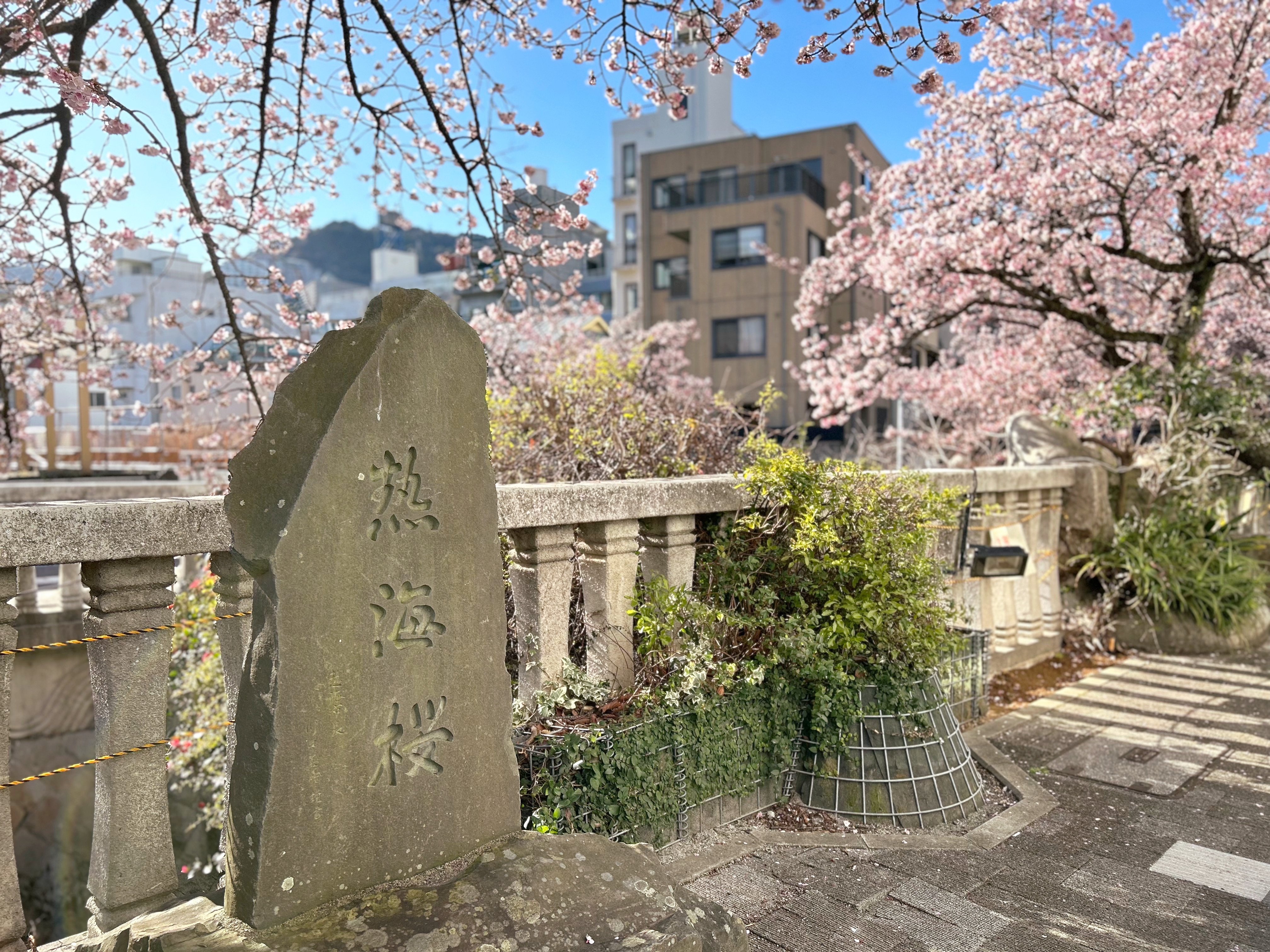 熱海温泉 ホテル大野屋（伊東園ホテルズ） - 写真 83