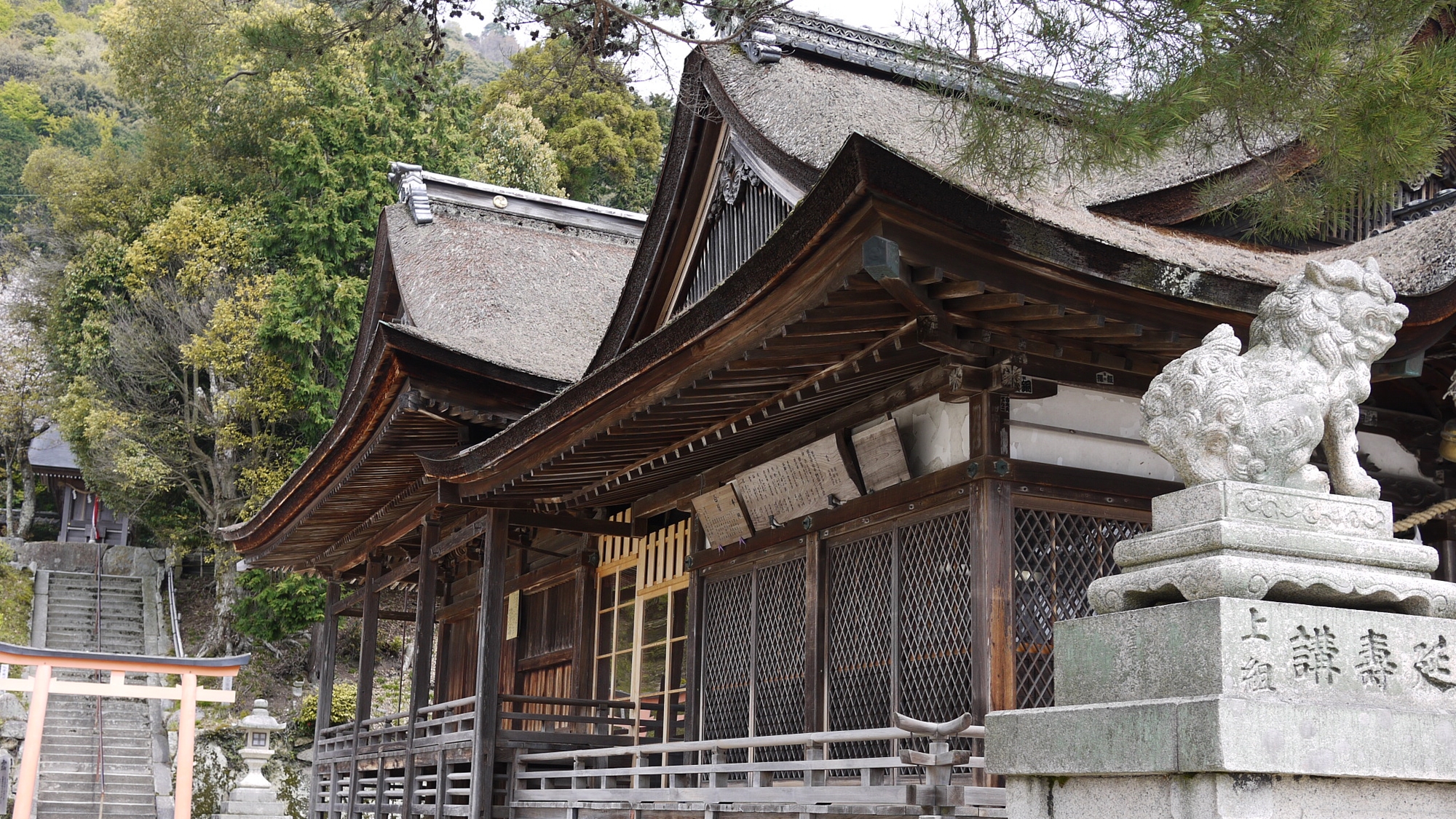 *【白鬚神社】長寿・子授け・縁結び等…人の営みごと、業ごとすべての導きの神と親しまれています