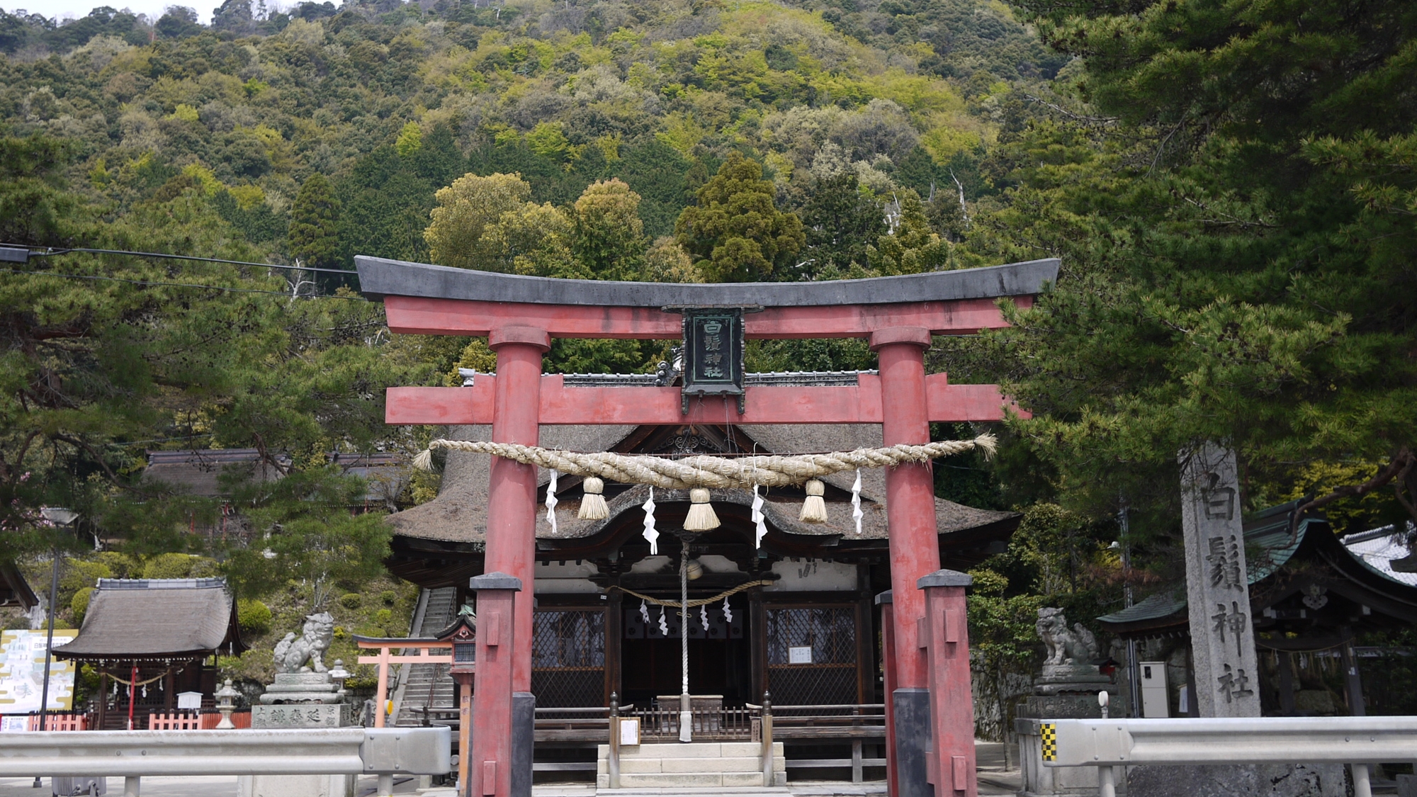 *【白鬚神社】長寿・子授け・縁結び等…人の営みごと、業ごとすべての導きの神と親しまれています。