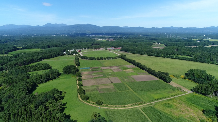 自社農場「東北牧場」