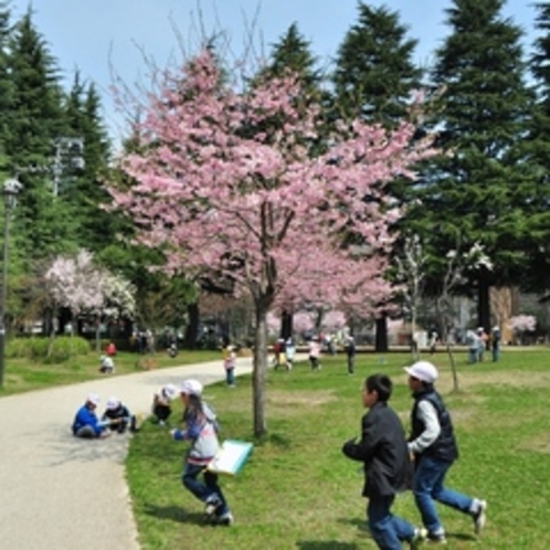 ホテルより徒歩2分の錦町公園春の風景