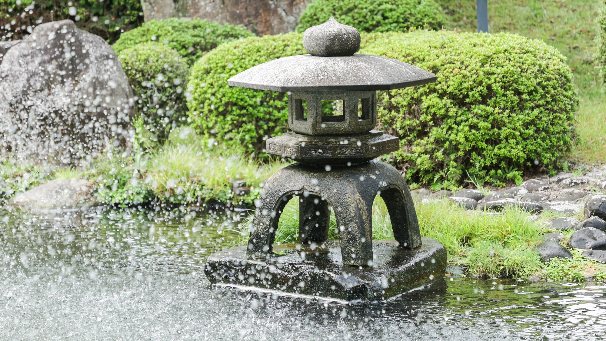 日本庭園｜鯉の餌やりも楽しめます