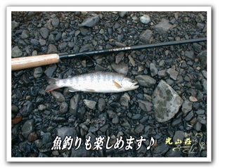 魚釣り01