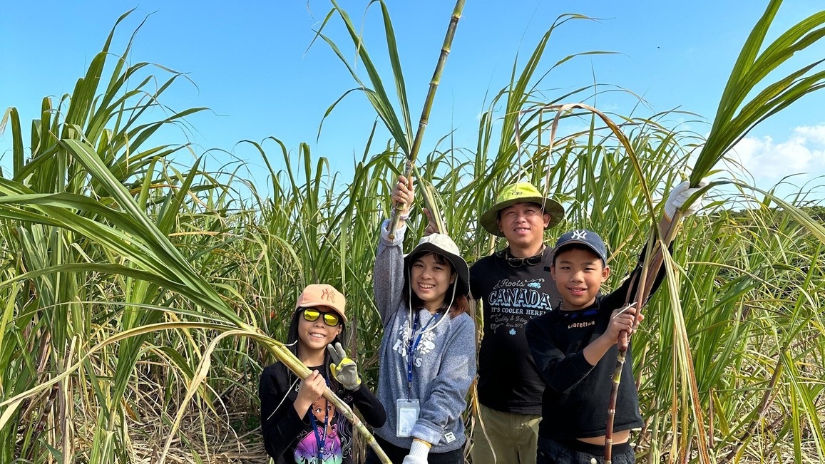 【◆6歳以上、先着4名様限定◆】ルネッサンスから出発！「さとうきび収穫＆黒糖作り」ご招待＜2泊〜＞