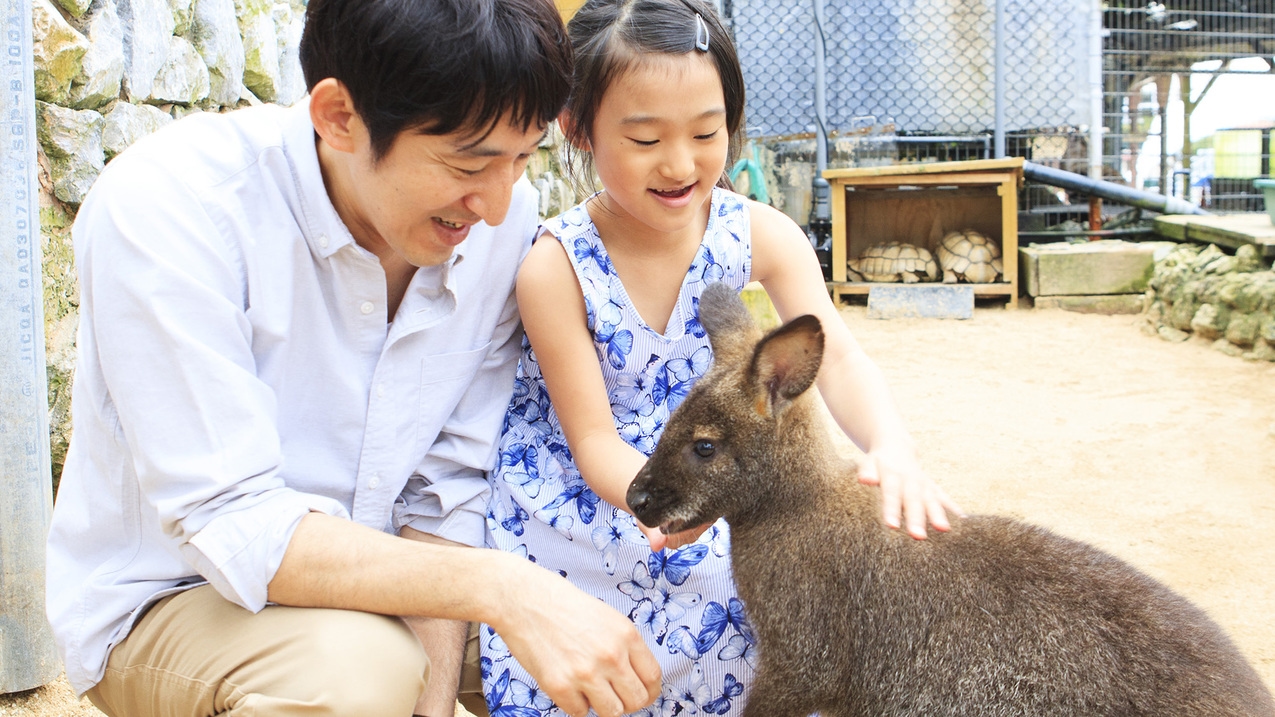 【◆地球にやさしい沖縄旅行◆】フィッシュライブラリーで遊びながら学ぶエシカルステイ＜2泊〜＞