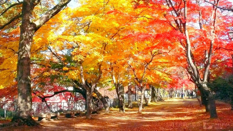 盛岡城跡公園／当ホテルからお車で約6分（1km）