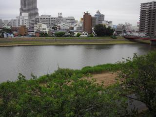 デラックスシングルから見える桜川②