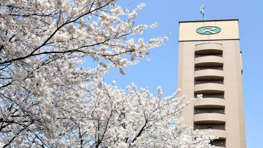 桜とルートイン金沢駅前