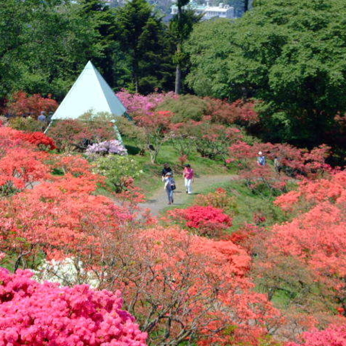 Hotel photo 44 of Court Hotel Mito.