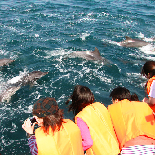 ■夏休み平日限定リーズナブルプラン■家族でまったり！夜はお部屋食★幼児添い寝無料★天草の観光拠点に