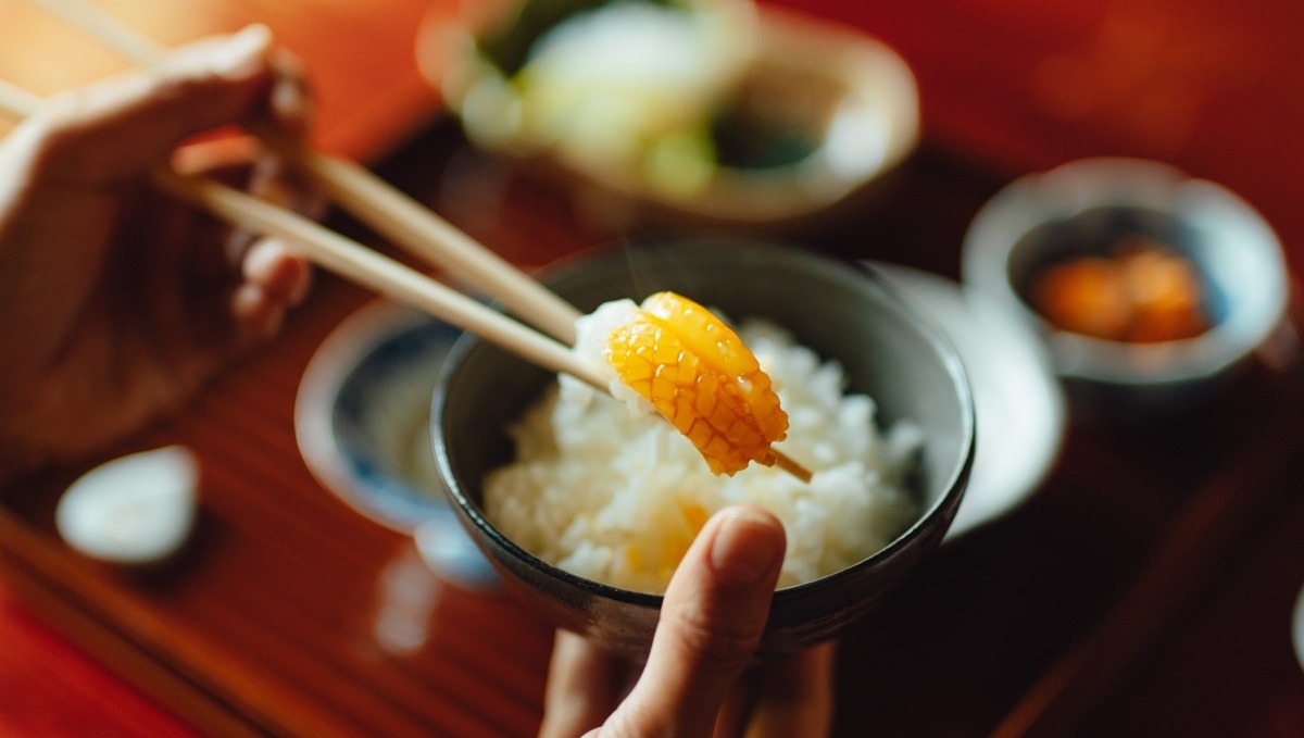 【夏限定】アオリイカ丼プラン｜夕食はシンプルに！天草観光を楽しみたい方におすすめ★幼児添い寝無料