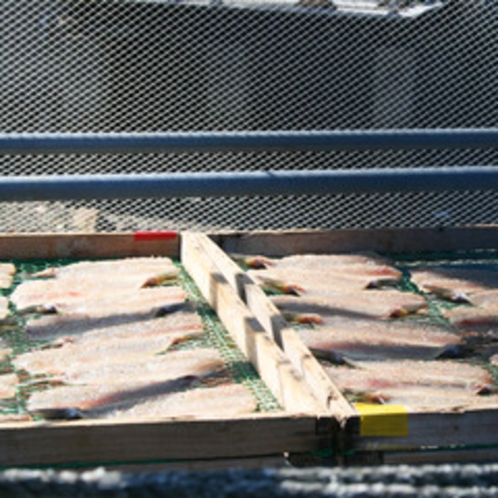 【天草の風景】天草の海で水揚げされた魚は手作りで干物に加工されます