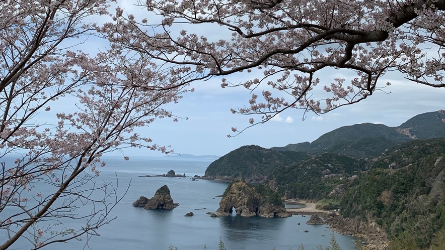 十三仏公園から桜越しに象さん岩を眺める