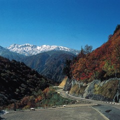 「白山スーパー林道」