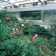 「石川県ふれあい昆虫館」