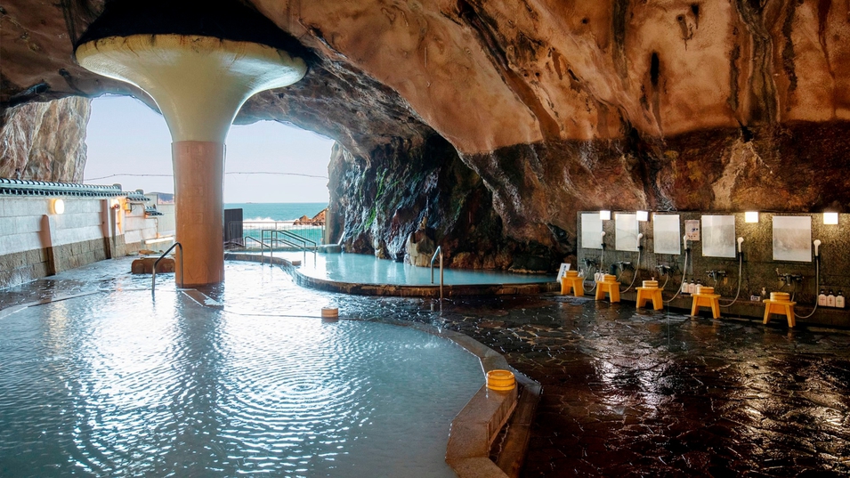 【くじらの博物館入館付】イルカのエサやり体験もできる♪家族旅行におすすめ！バイキングプラン