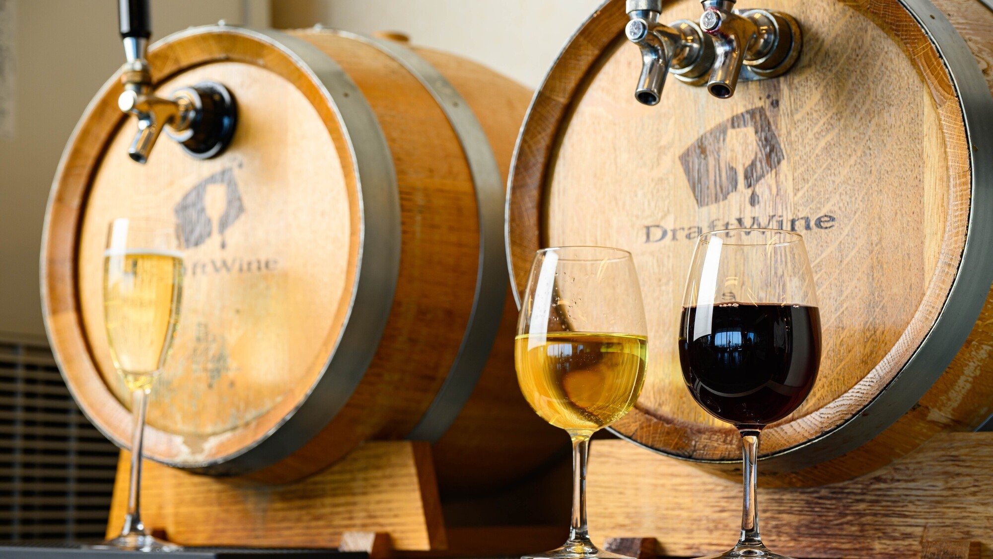 本館・日昇館・なぎさ館限定飲み放題