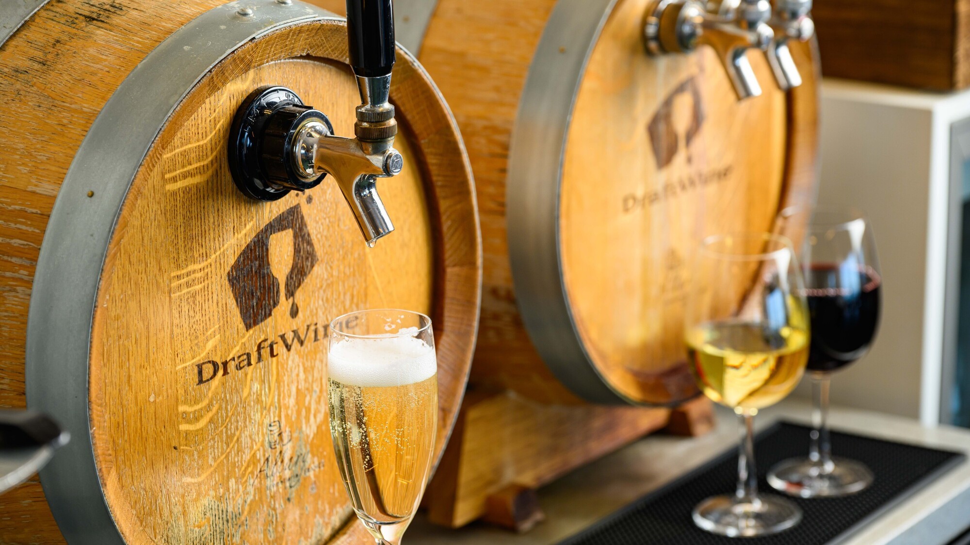 本館・日昇館・なぎさ館限定飲み放題