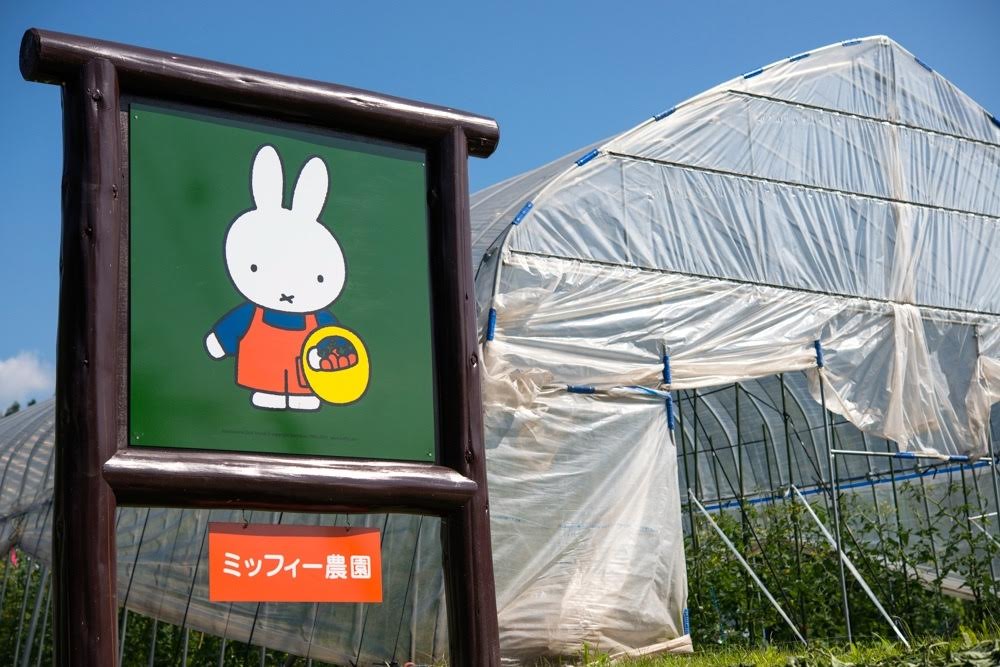 農園クッキング・会場のミッフィー農園