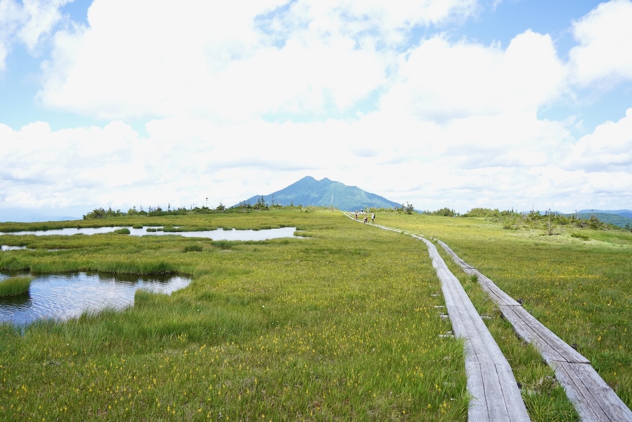【かたしな高原のツアー】「天上の楽園」尾瀬アヤメ平ガイド付ツアー・1泊3食プラン