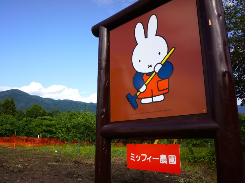 【かたしな高原のツアー】秋のミッフィー農園収穫祭・1泊2食BBQプラン