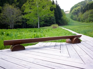 水芭蕉が見れるエリア内の木道