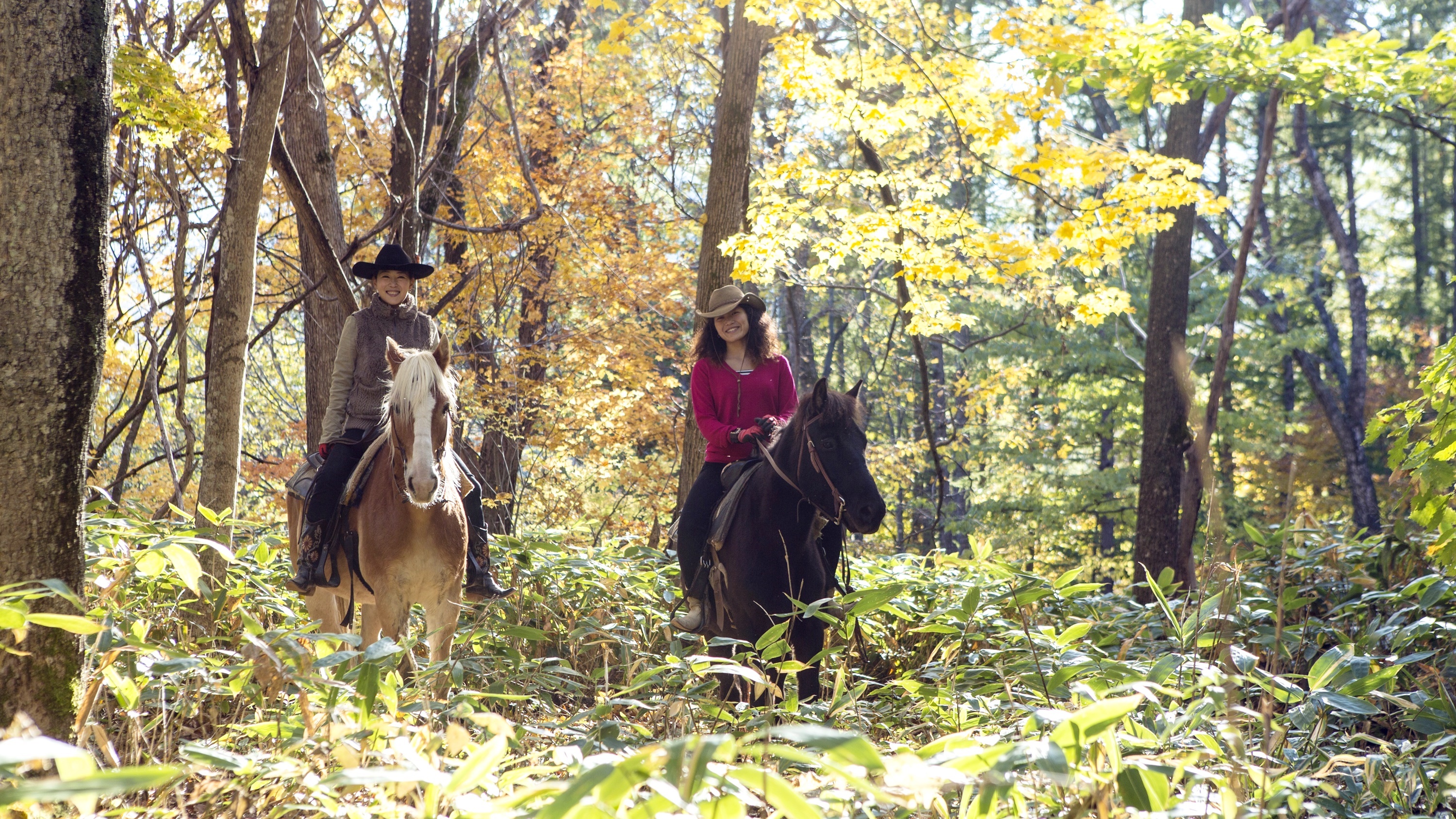 【ワイルドムスタングス】