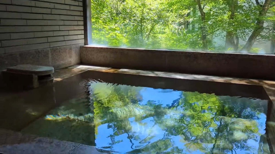 『温泉内風呂付き 芦ノ湖を一望する湖畔特別和室』の内風呂