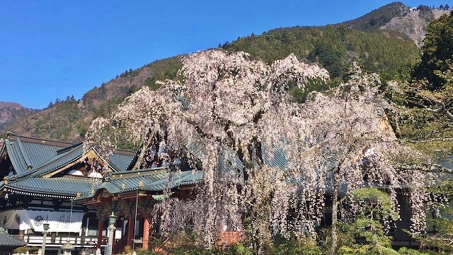 【１泊２食付き】初めてでも楽しめる！身延山ツアーガイド付きプラン！