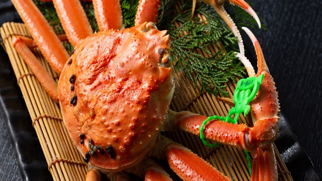 11/7〜2025.3/22　タグ付きかにづくしコース　茹で蟹には、地元産松葉がにを使用