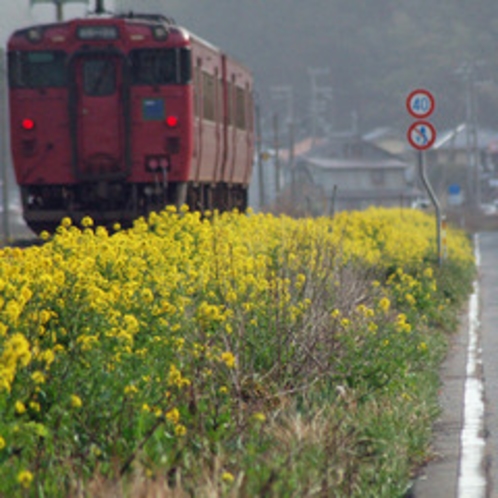 のんびり電車の旅