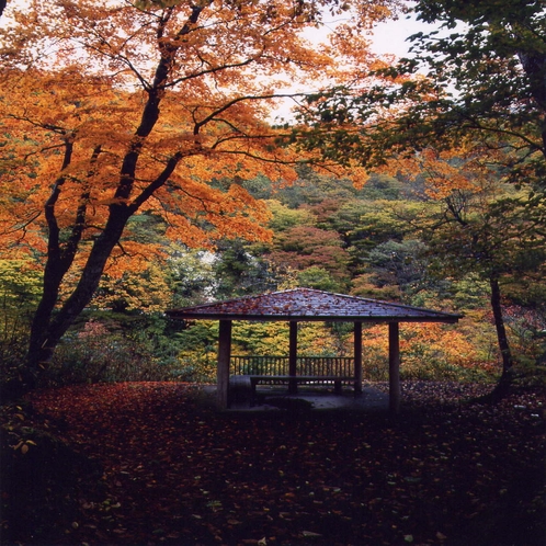 東屋【秋】